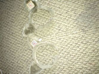 Great Wolf Lodge ears