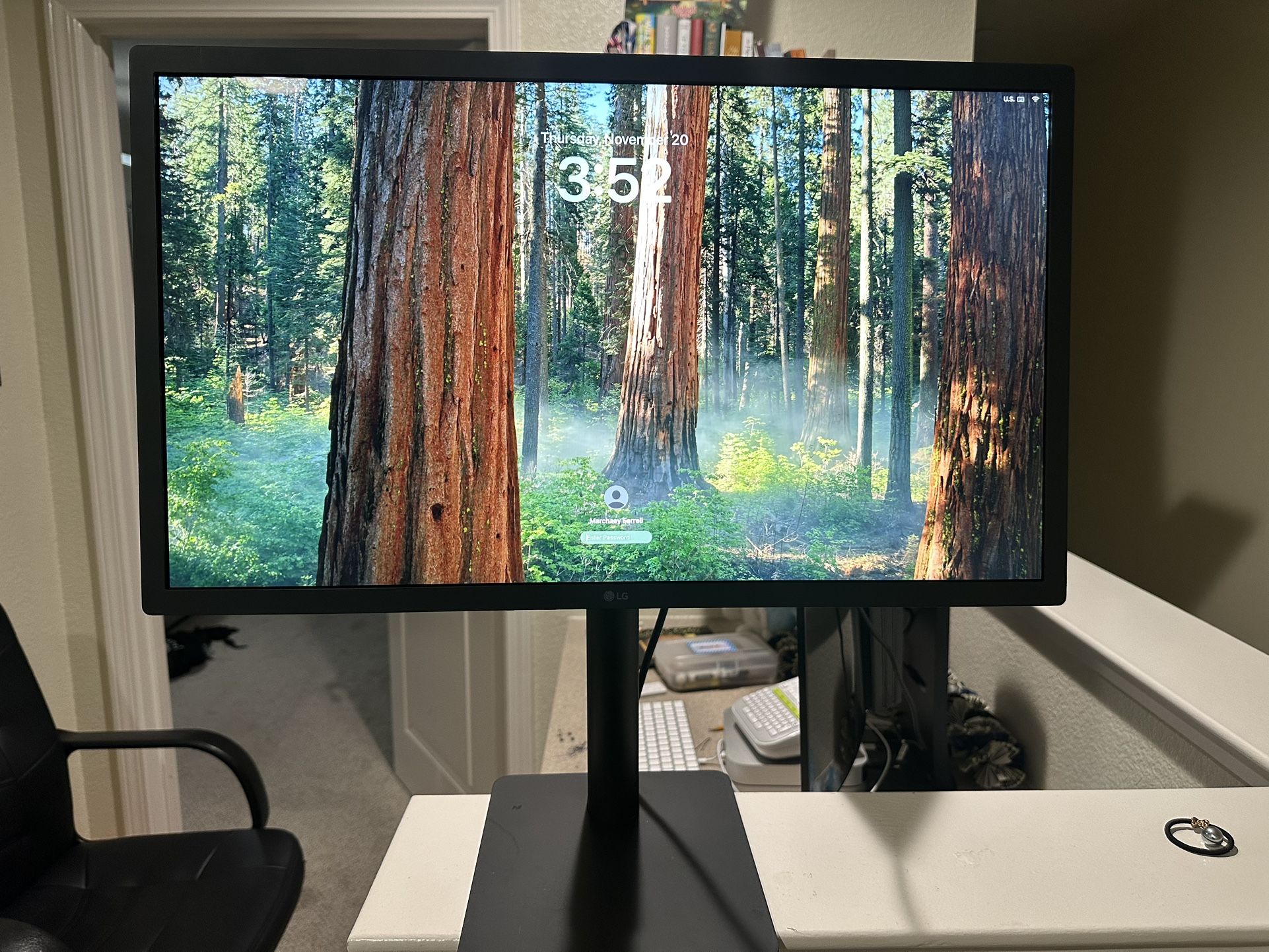 LG UltraFine 24″ 4K Monitor – Excellent Condition, Mac/PC 1 Of 2