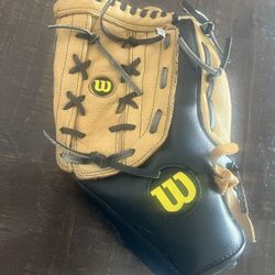 Softball Gloves