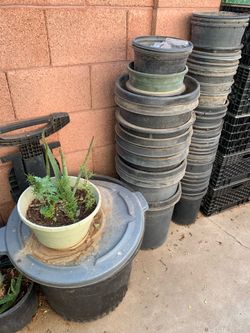 So many different Types of plant buckets