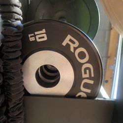 ROGUE DUMBBELL BUMPERS