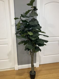 6’ Fake Plant/Tree With Planter Base