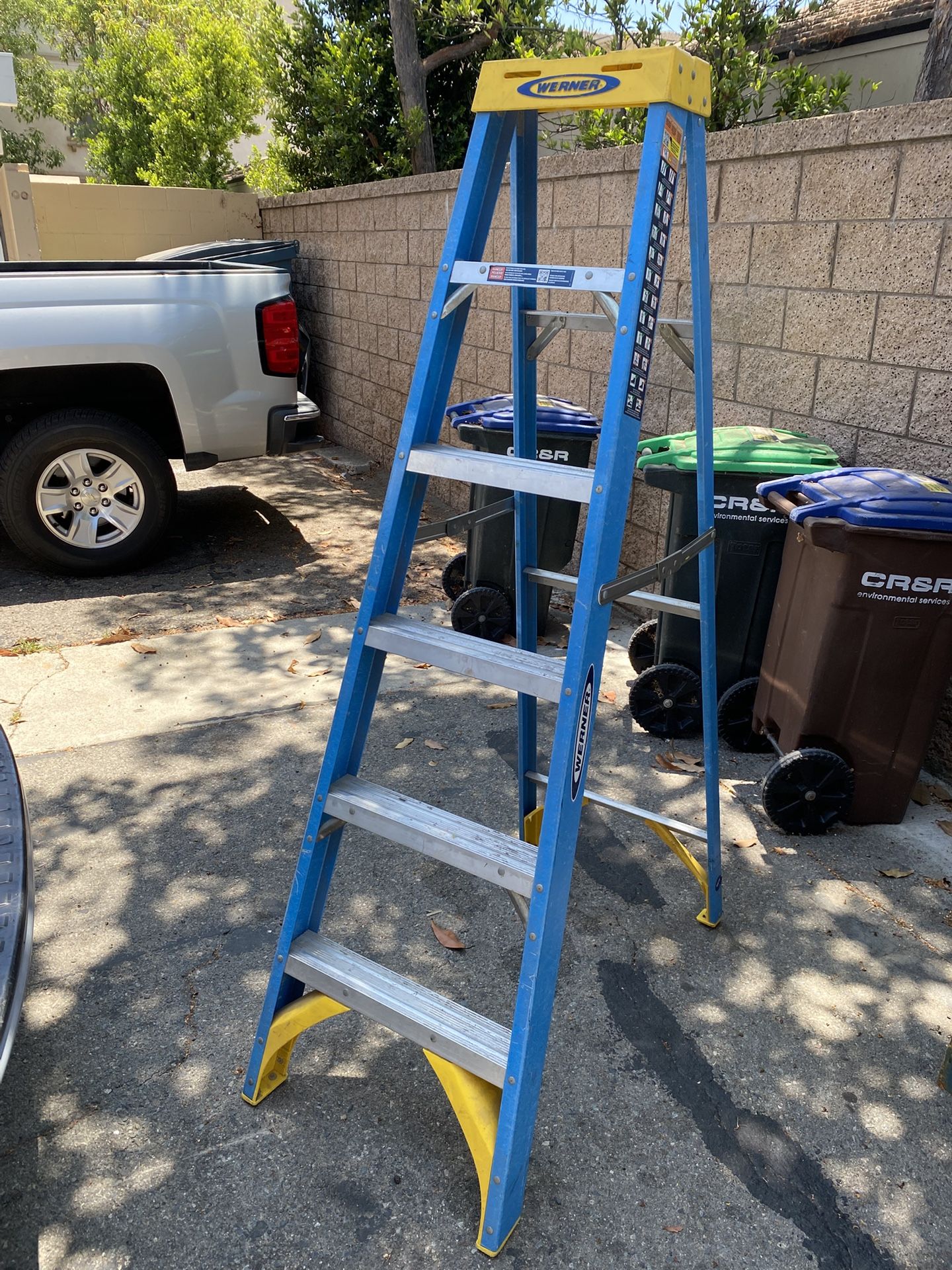 6 Ft Warner Ladder