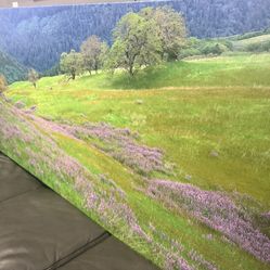 Natural Landscape Mountain Canvas XXL