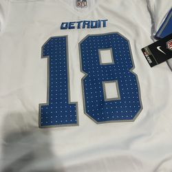 Detroit Lion Teslaa #18