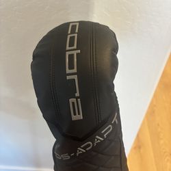 Cobra DS Adapt LS (low spin) 9.0 Right handed degree with a Fujikura Pro 60 gram stiff.  The driver head is basically brand new original head was crac