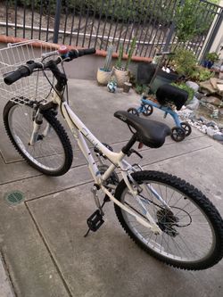 Schwinn Twister Bike