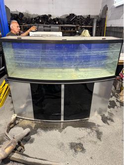 Selling 150 gallon bow front tank with stand, filters and bubblers