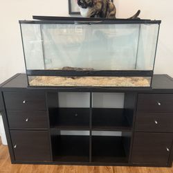 Tank And Stand For Corn snake 