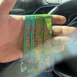 Beyond wonderland 2026