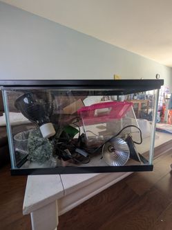 Glass Reptile Tank with Accessories