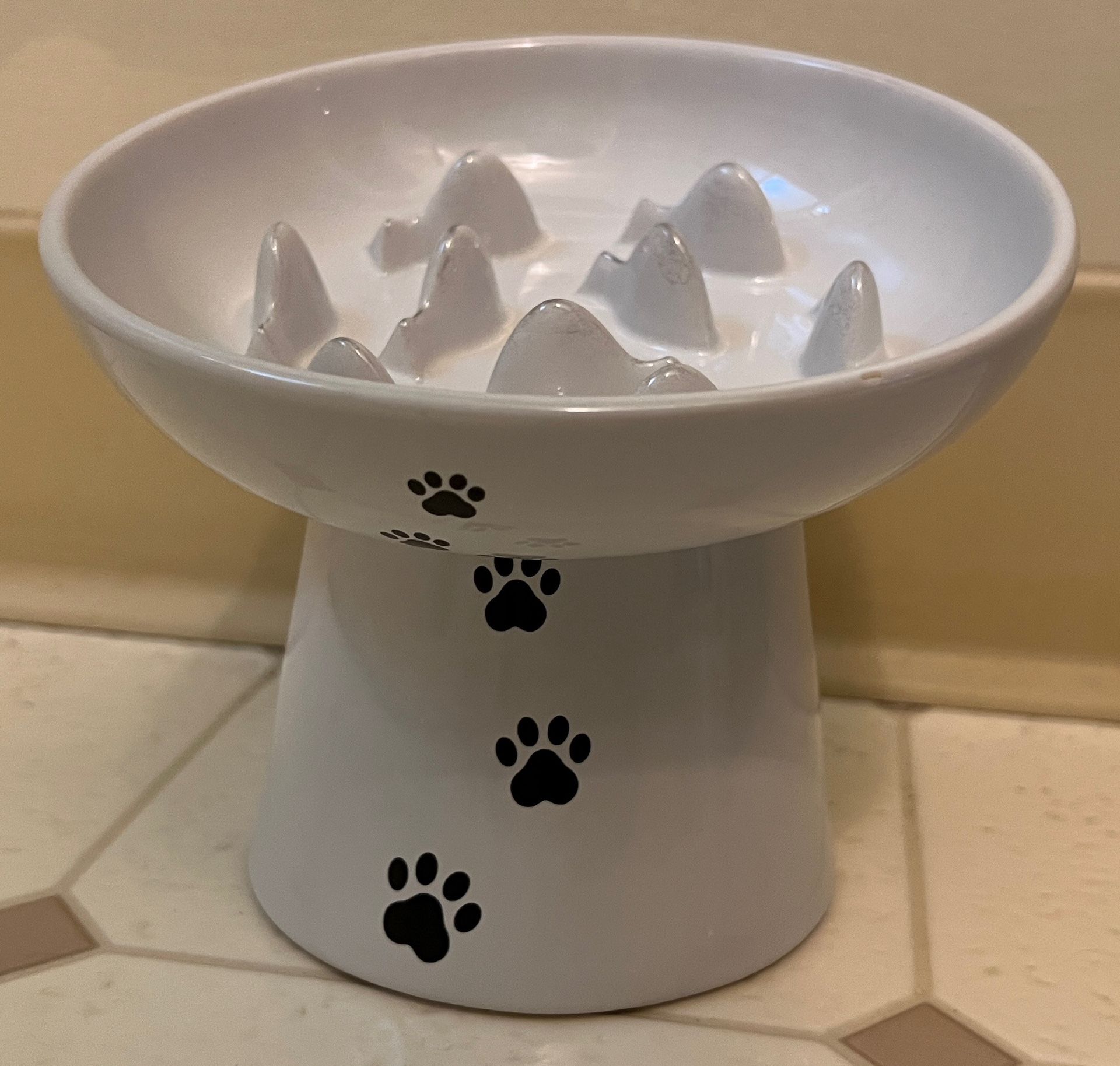 Elevated Ceramic Pet Slow Feeder Bowl