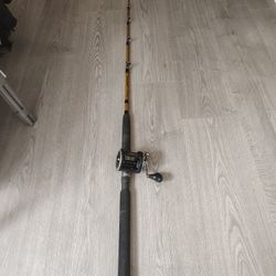 Ugly Stik Tiger/Penn 320GT