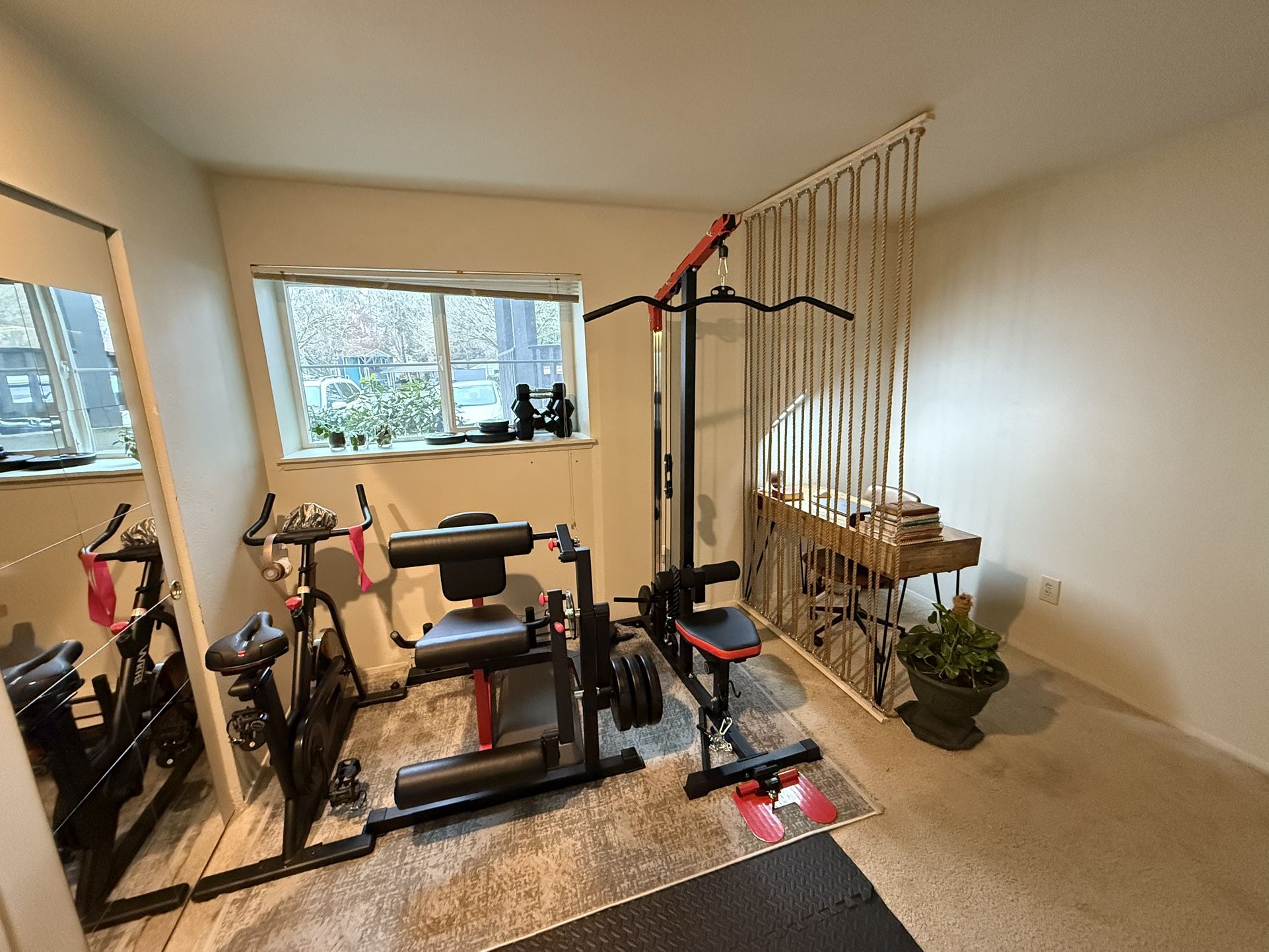Gym equipment