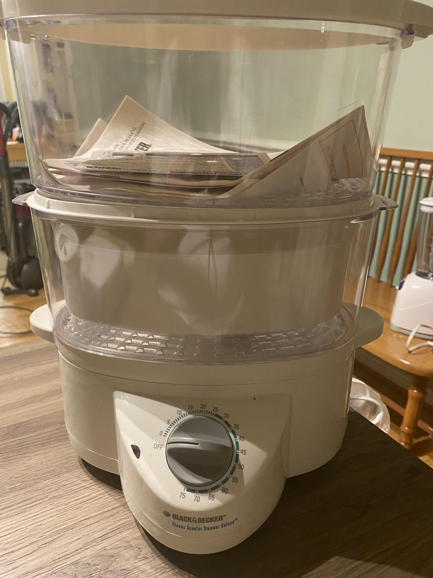 Black and Decker steamer
