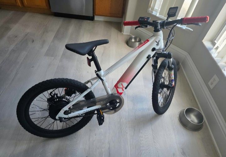 Electric Bike