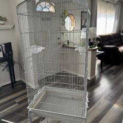 Bird cage