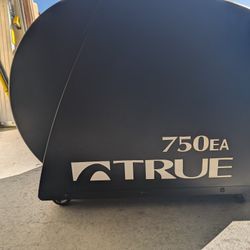750ea True Elliptical
