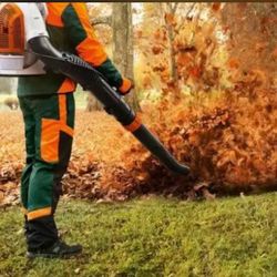 Mike’s Yard Clean Up