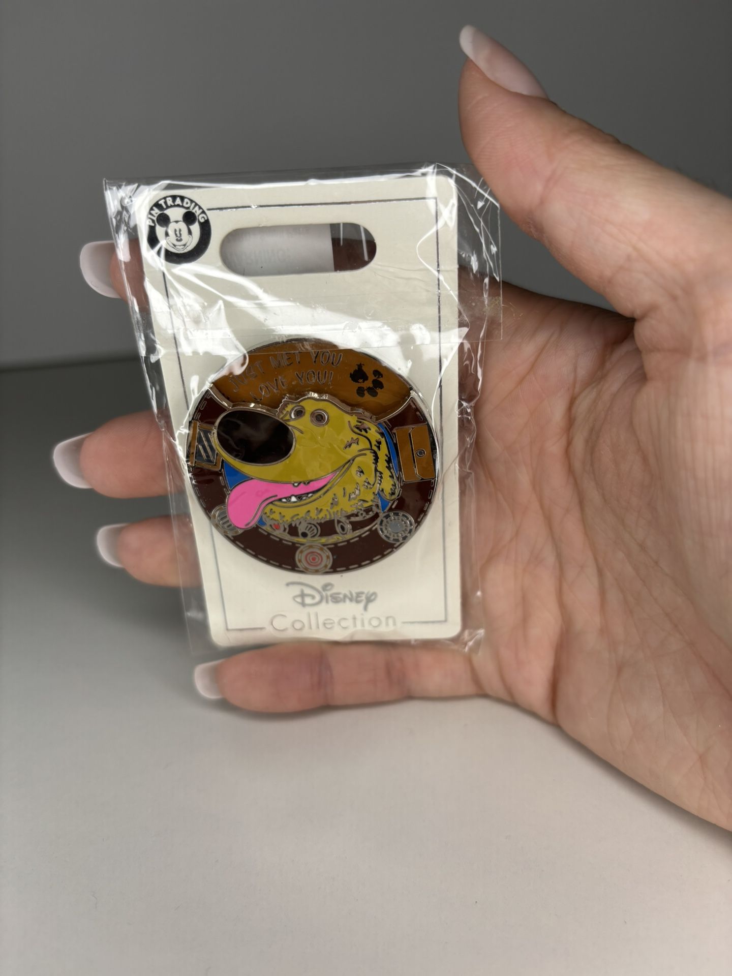Brand New Disney Collection Doug from Up Pin