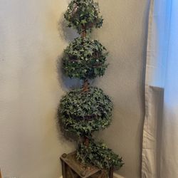 Topiary $30