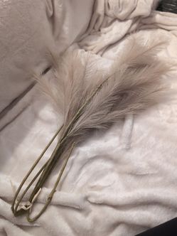 Dried Pampas Grass Bundle