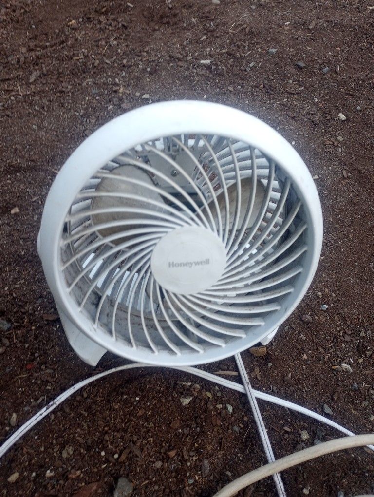 Fan