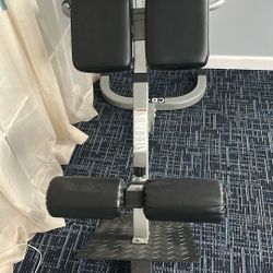 Back/ Glute Machine 