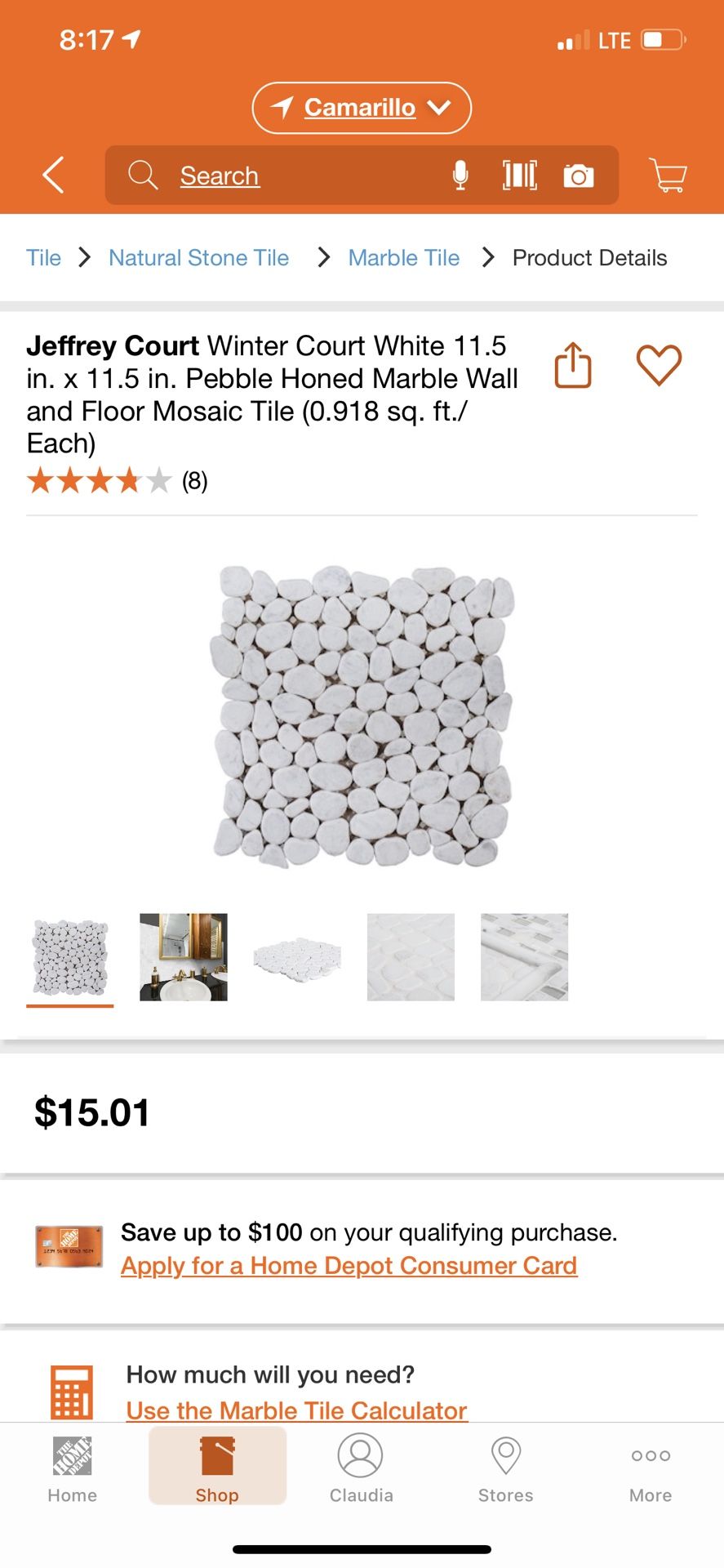 Jefferey Court Winter Court White Pebbled Marble
