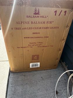 9 ft Balsam Hill - Alpine Balsam Fir with clear fairy lights
