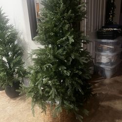 HomeGoods tree 6 foot w lites