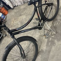 beach cruiser xlarge 32” size wheel