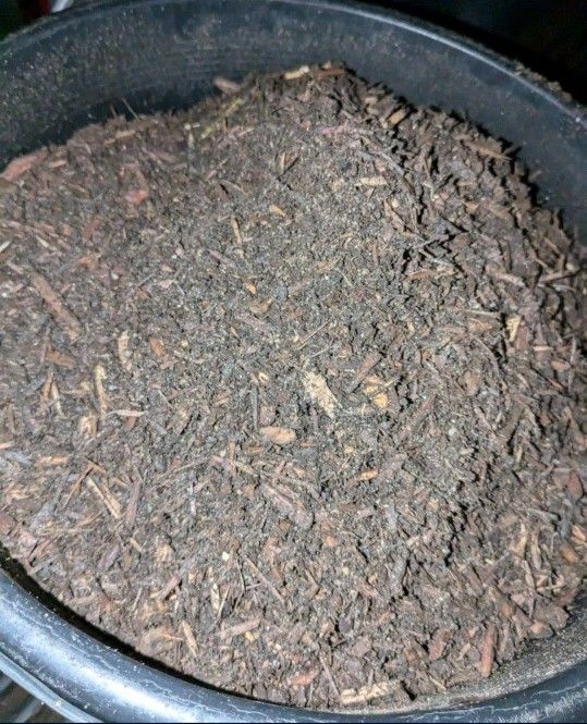 Tierra Organica / Organic Soil