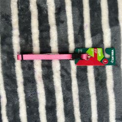 Vibrant Life Dog Collar. 