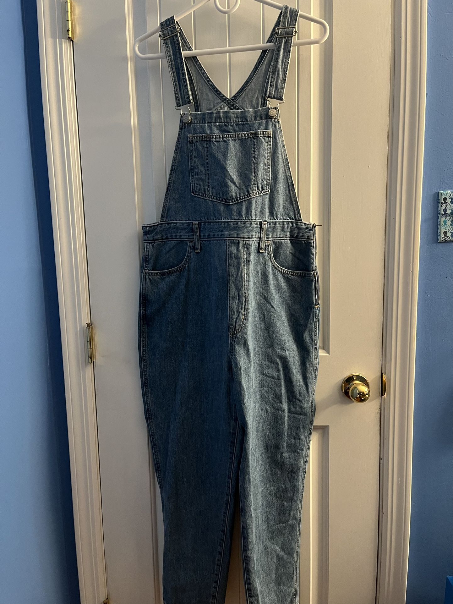 Levi’s Overalls