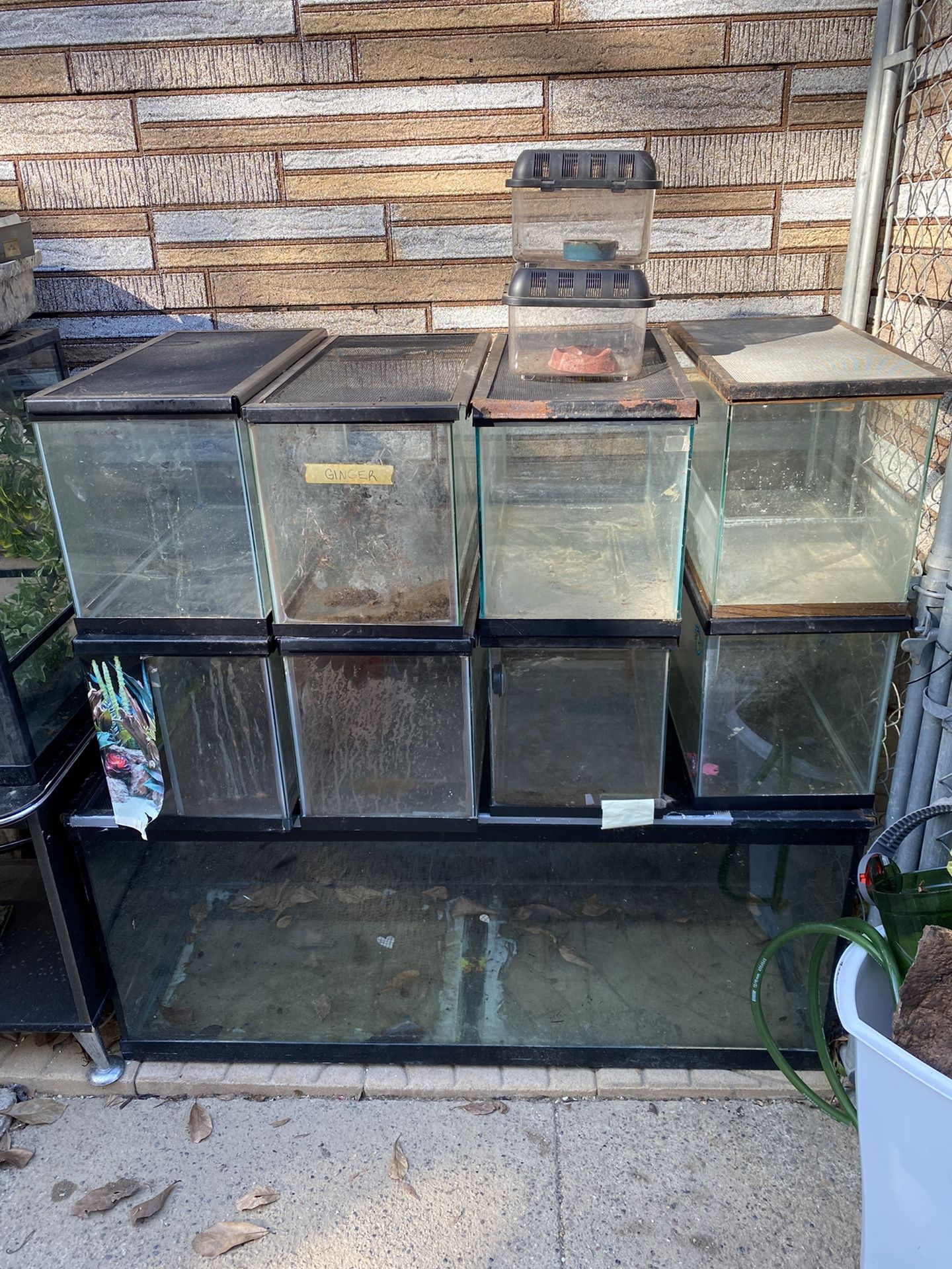 Fish Tank / Reptile Tanks