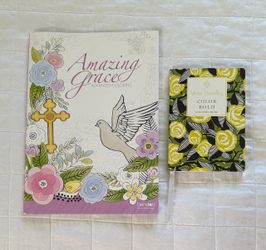 Set of 2 Coloring Books for Adults/Teens