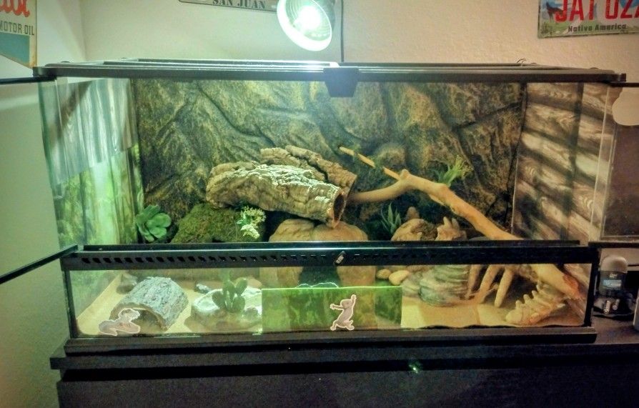 50-55 Gallon Terrarium