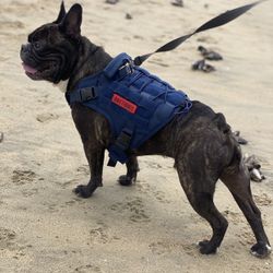 Heavy Duty Dog Harness 