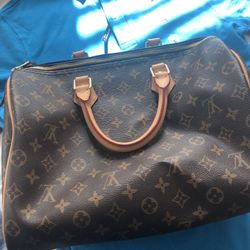 Louis Vuitton Purse