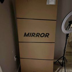 Mirror Co (work Out Mirror)