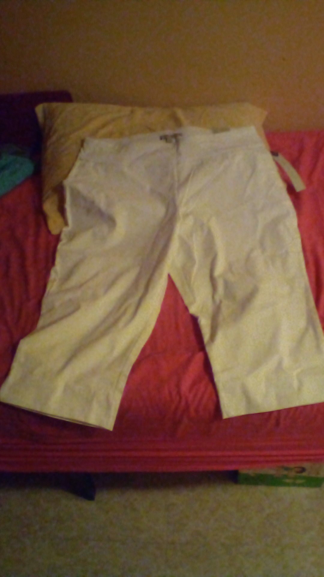 Designer Larry Lavine Midpants size 20 with tag marked 69.00 and will take half price or best offer