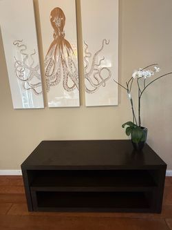 West Elm Shelf Unit / Media Center