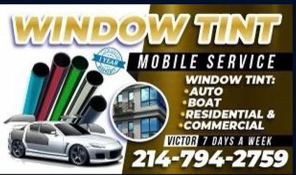 Windows Tint