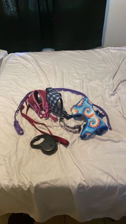 Dog supply