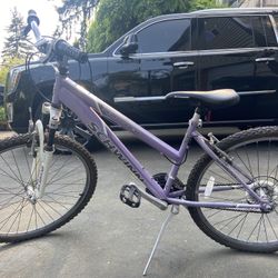 Schwinn Ranger Purple Bike