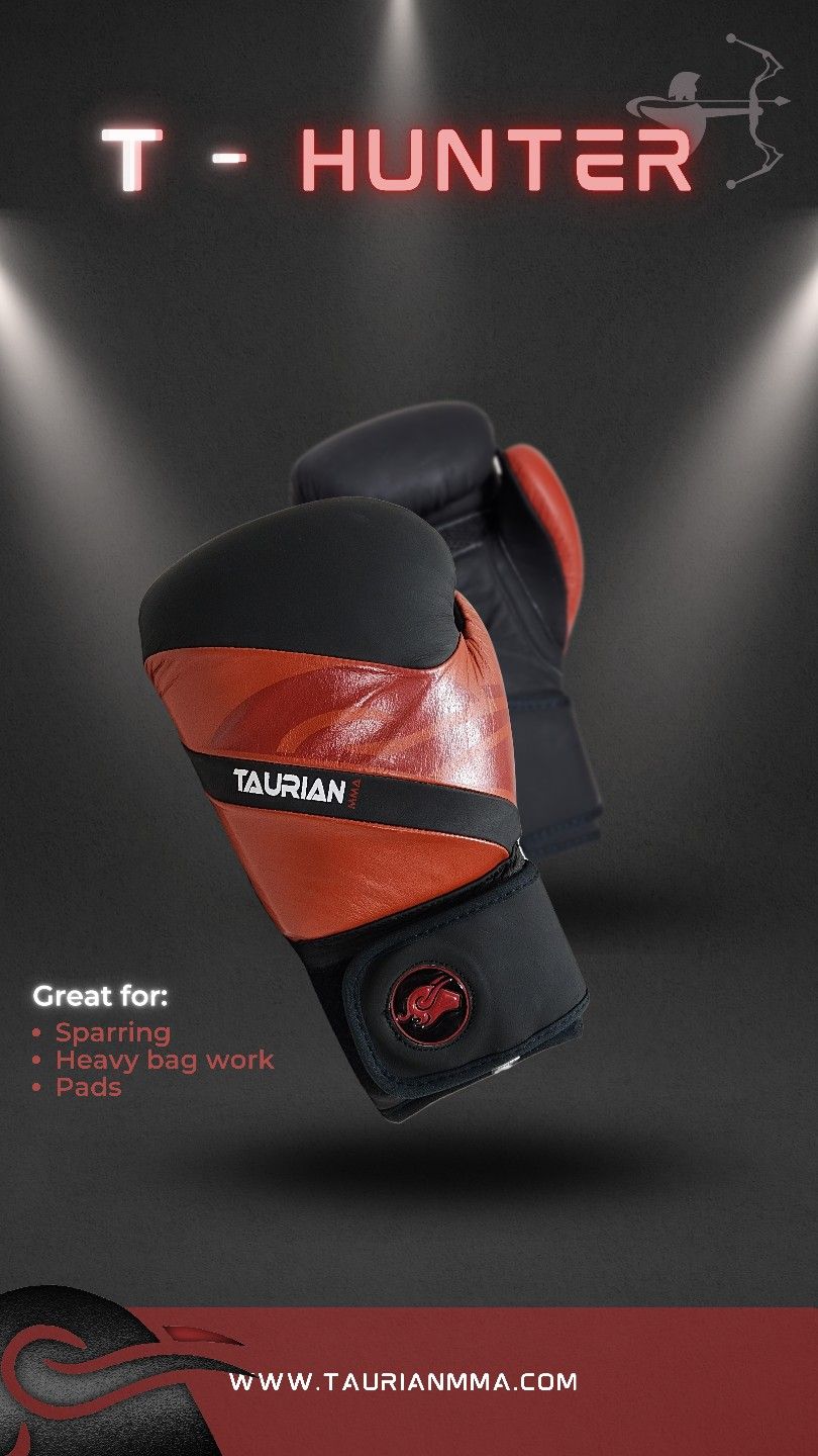 Leather Boxing Gloves (Pro)
