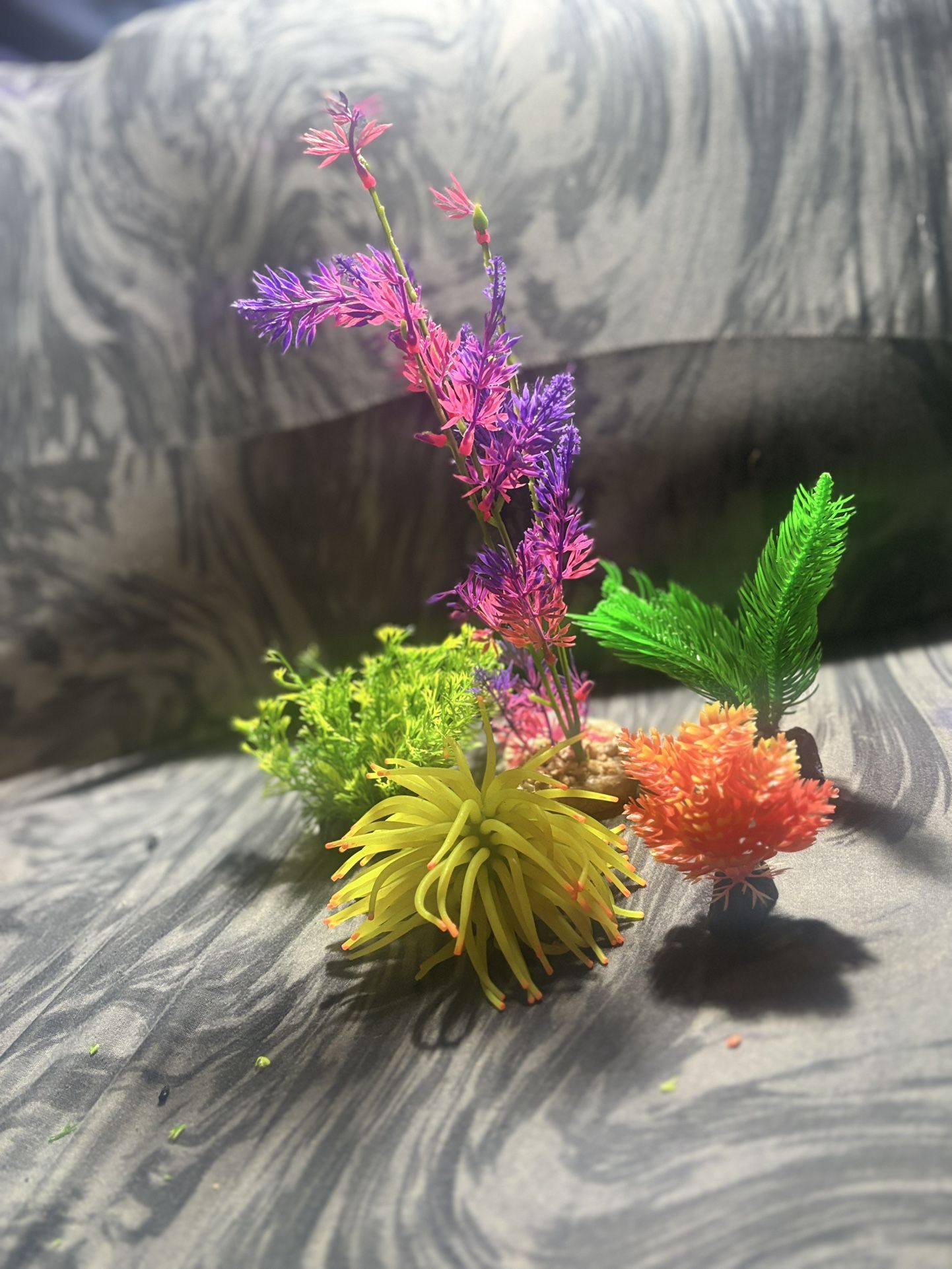 Plants For Fish Tank