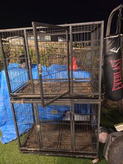4 pet cages
