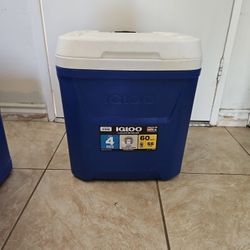 Igloo Cooler - 60 Qt